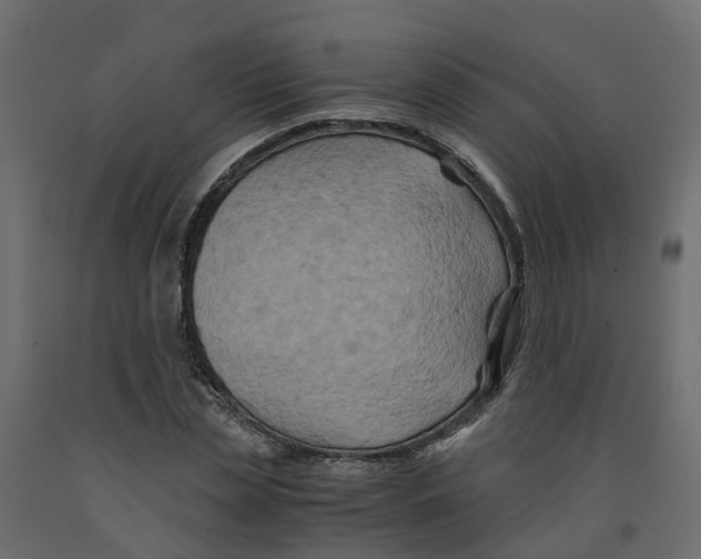 X0000091980829200710041108