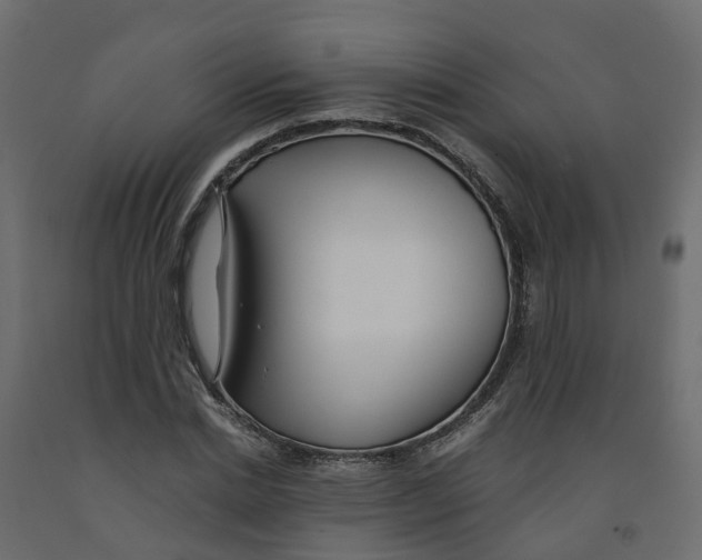 X0000091980830200710041108