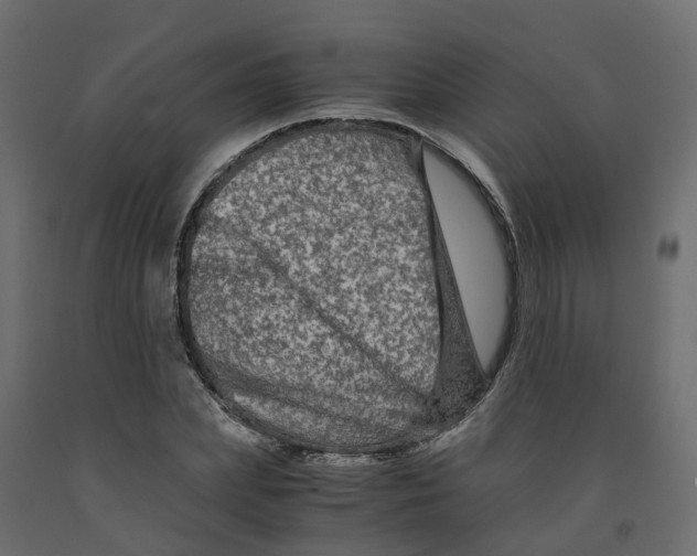 X0000091980831200710041108