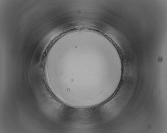 X0000091980832200710041108