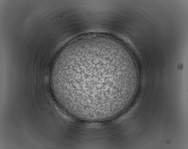 X0000091980833200710041108