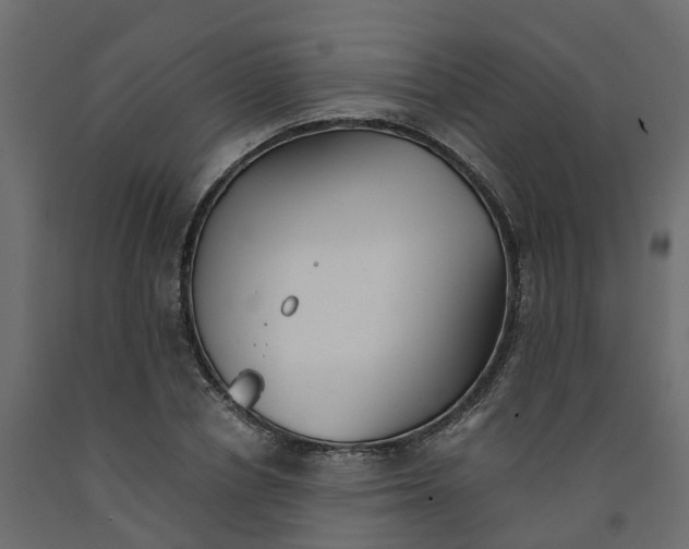 X0000091980834200710041108