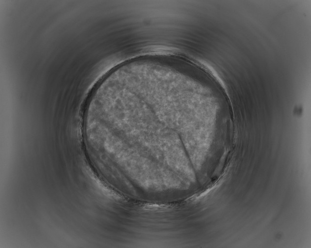 X0000091980835200710041108