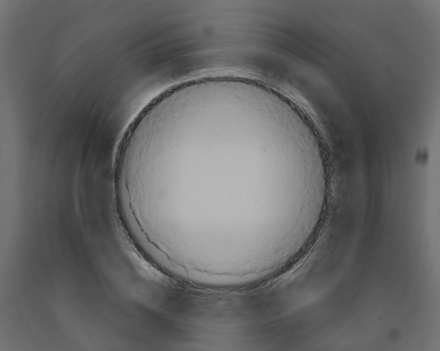 X0000091980836200710041108
