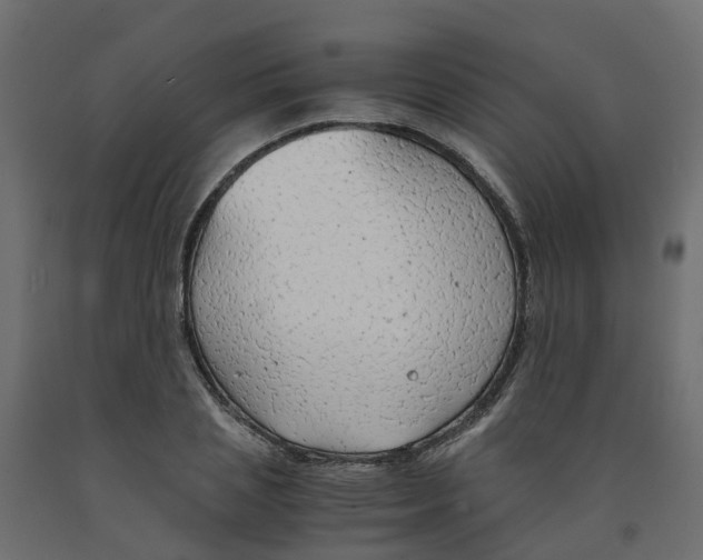 X0000091980837200710041108