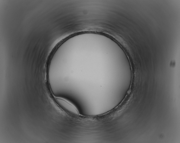 X0000091980838200710041108
