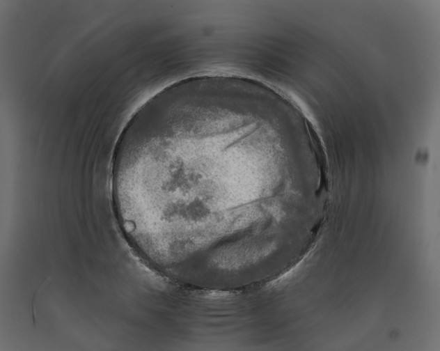 X0000091980839200710041108