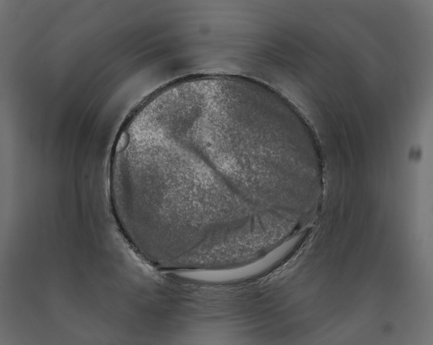 X0000091980840200710041108