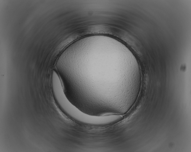 X0000091980841200710041108
