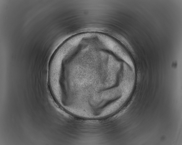 X0000091980844200710041108