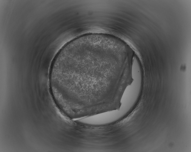 X0000091980845200710041108
