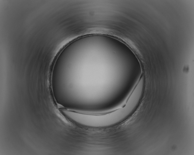 X0000091980846200710041108