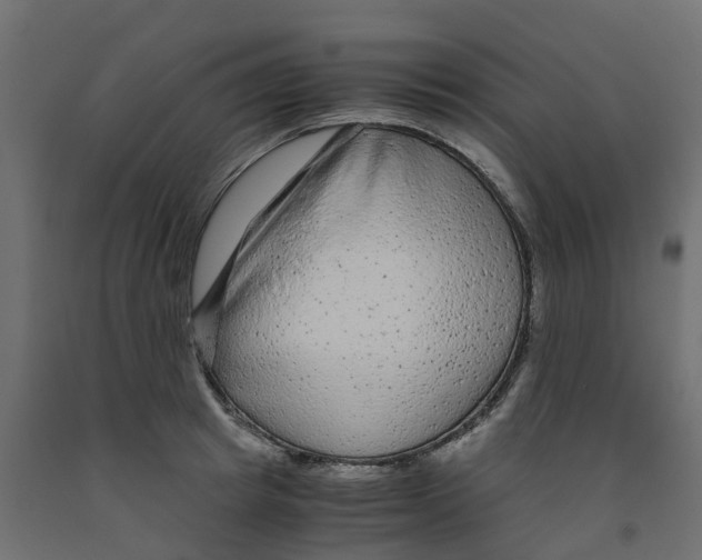 X0000091980849200710041108