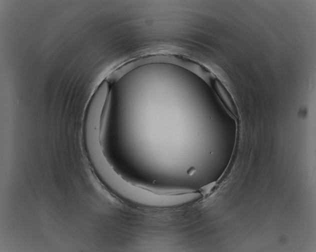 X0000091980850200710041108