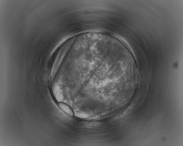 X0000091980851200710041108