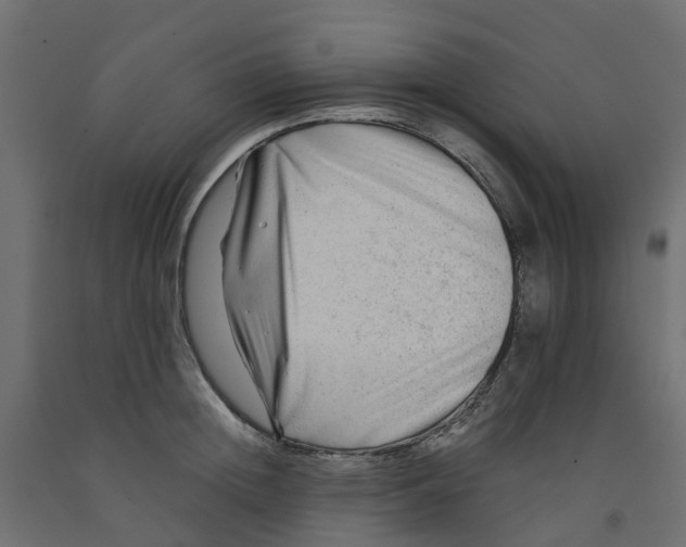 X0000091980852200710041108