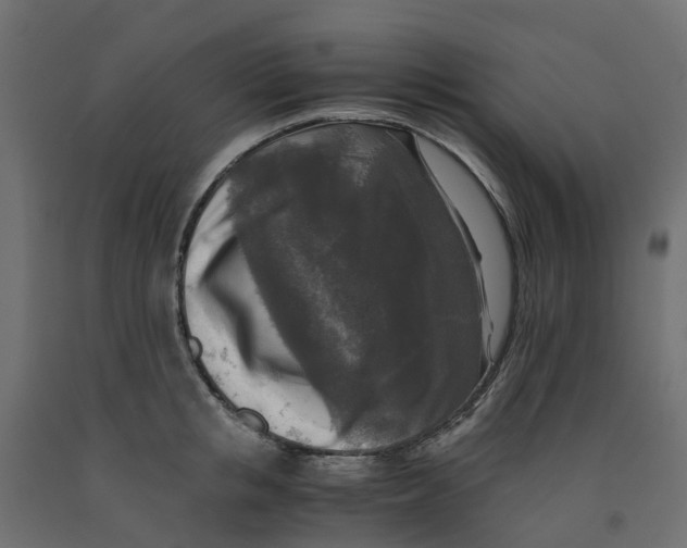 X0000091980853200710041108