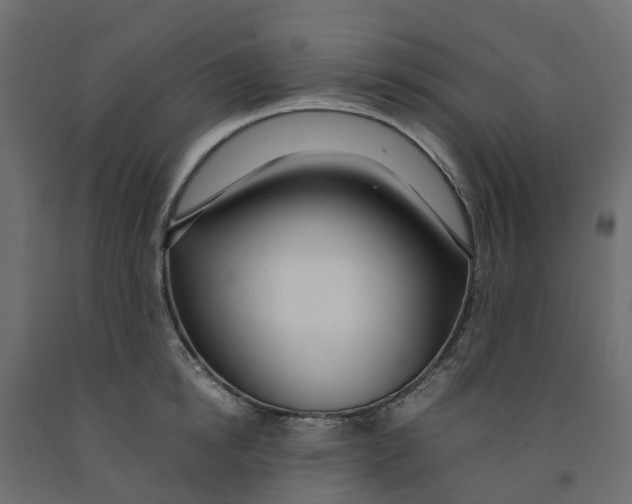 X0000091980854200710041108