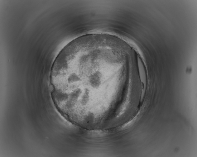 X0000091980855200710041108