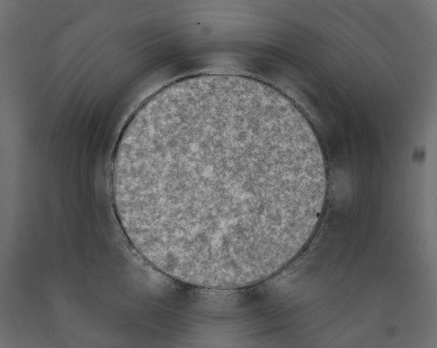 X0000091980856200710041108