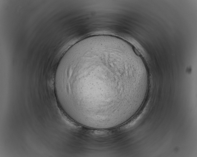 X0000091980857200710041108