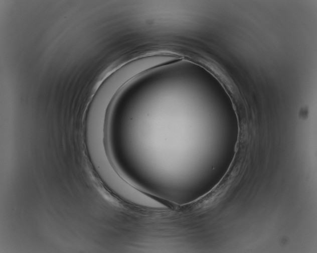 X0000091980858200710041108