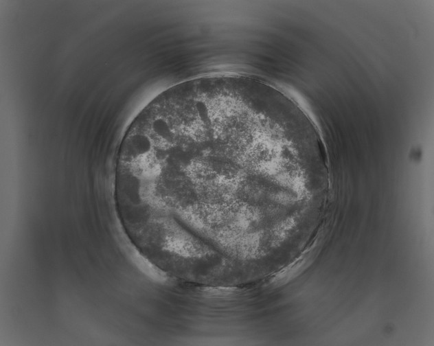 X0000091980859200710041108