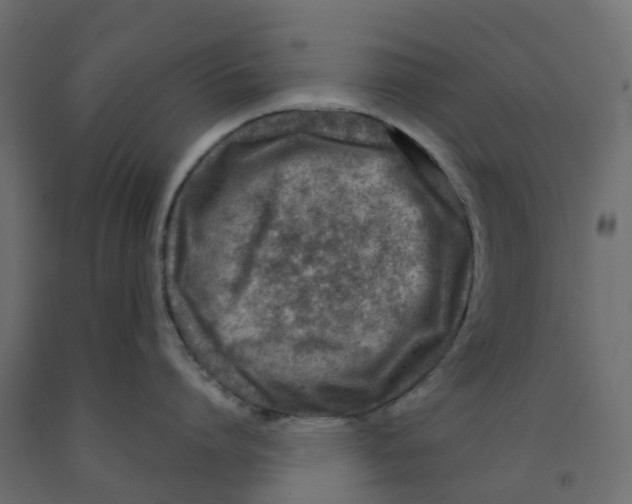 X0000091980864200710041108