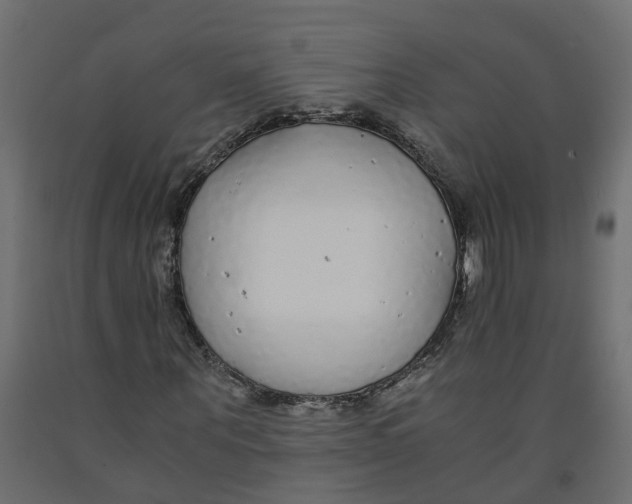 X0000091980867200710041108
