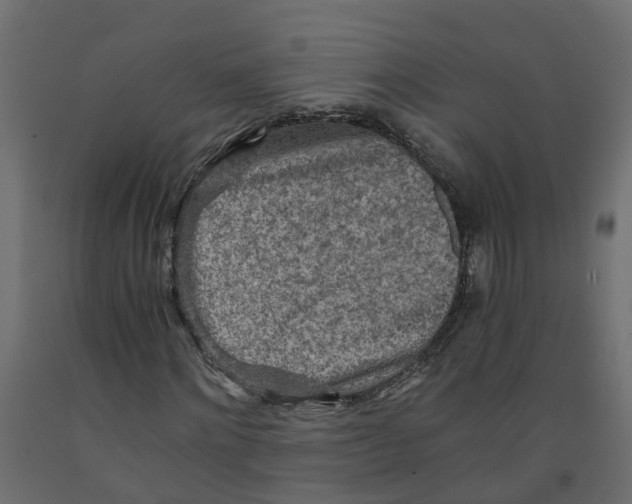 X0000091980868200710041108