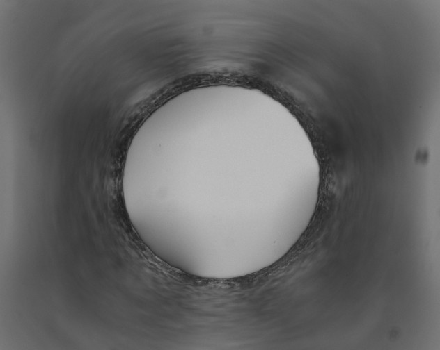 X0000091980869200710041108