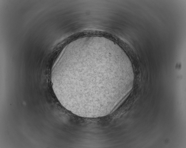 X0000091980870200710041108