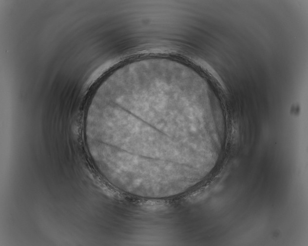 X0000091980874200710041108