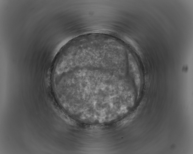 X0000091980875200710041108