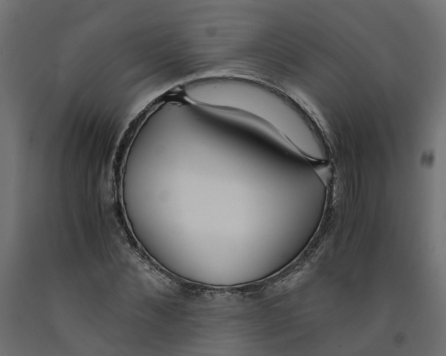 X0000091980876200710041107