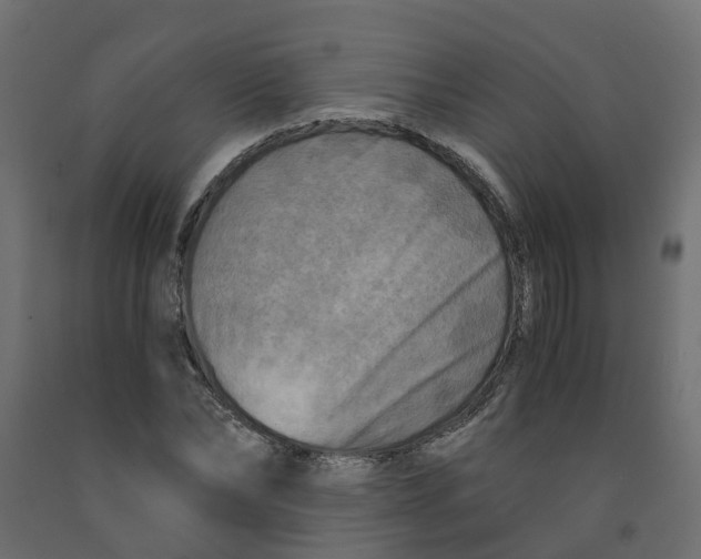 X0000091980878200710041107