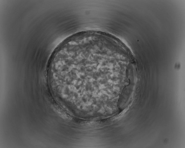 X0000091980879200710041107