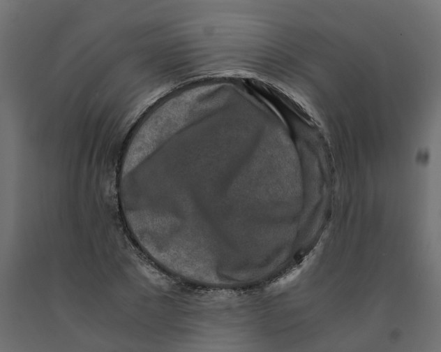 X0000091980881200710041107