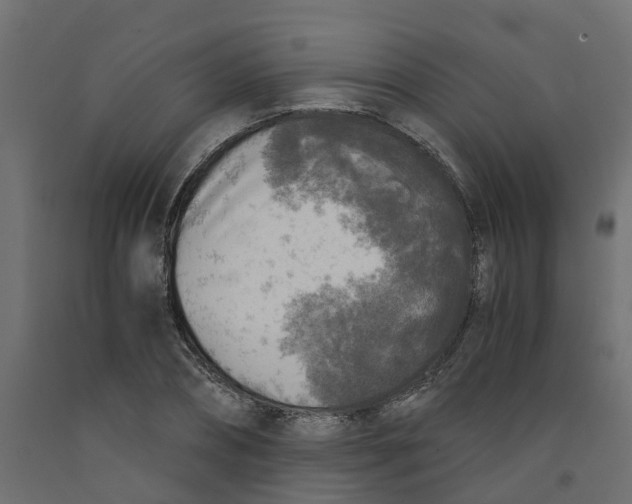 X0000091980882200710041107