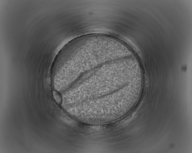 X0000091980883200710041107