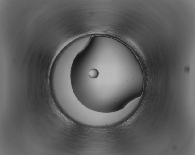 X0000091980884200710041107