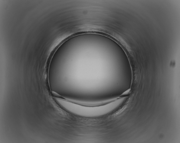 X0000091980885200710041107