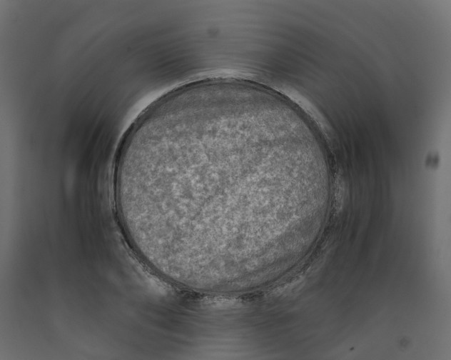 X0000091980886200710041107