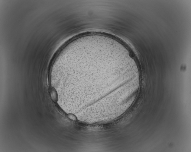 X0000091980887200710041107