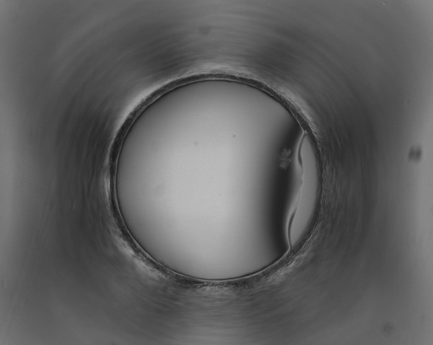 X0000091980888200710041107