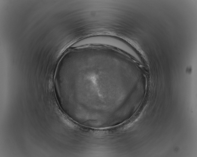 X0000091980889200710041107