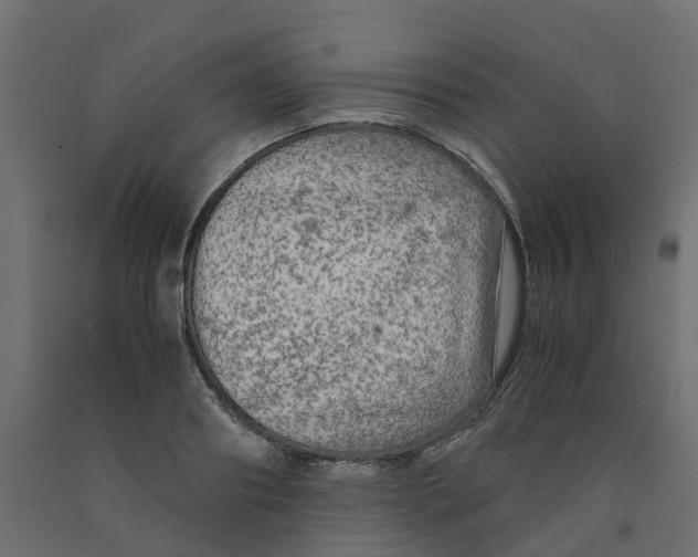 X0000091980890200710041107