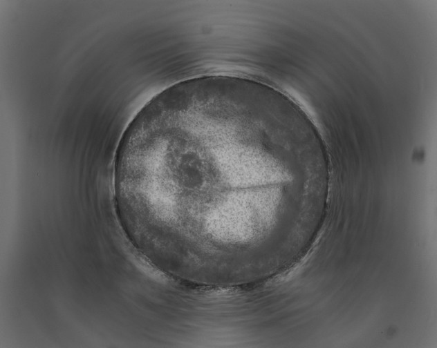 X0000091980891200710041107
