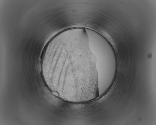 X0000091980892200710041107