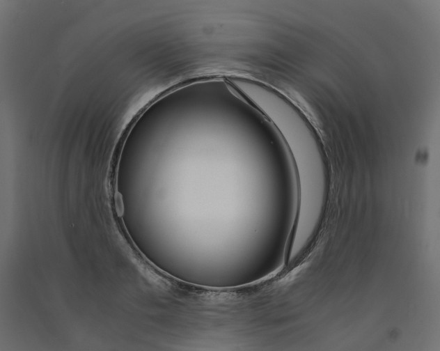 X0000091980893200710041107